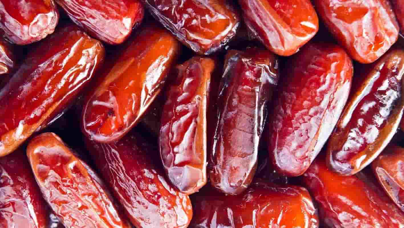 قیمت خرید خرما پیارم بندرعباس عمده به صرفه و ارزان